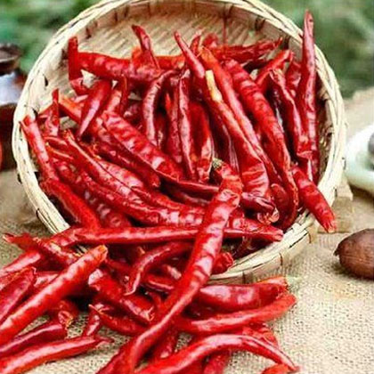 Red Chilli